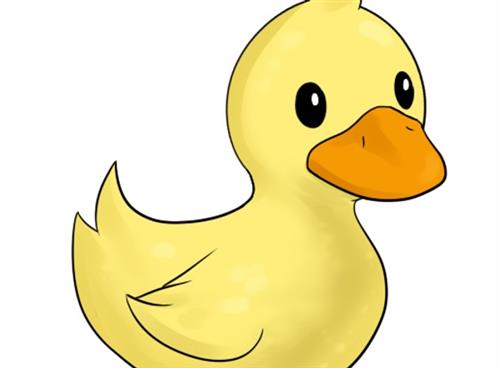 Duckling Image