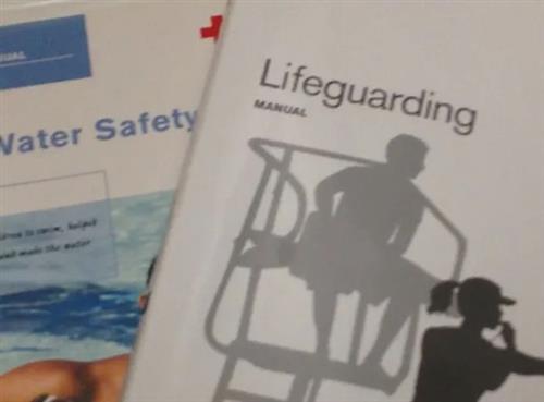 Water Safety Instructor