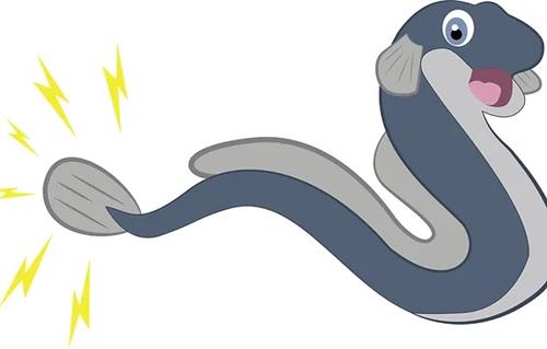 Electric Eel image