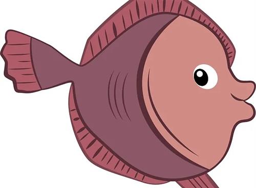 Flounders Image