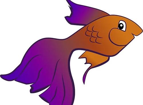 Guppy Image