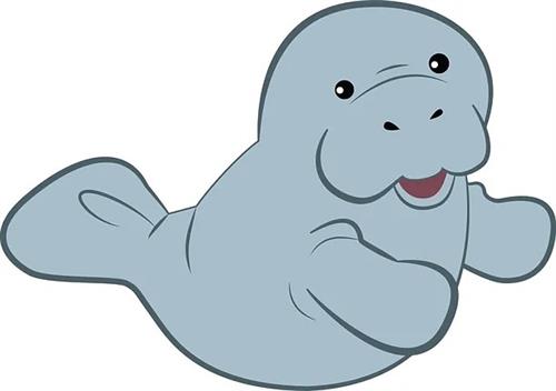 manatee image