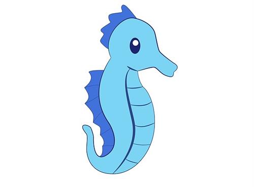 Seahorse image