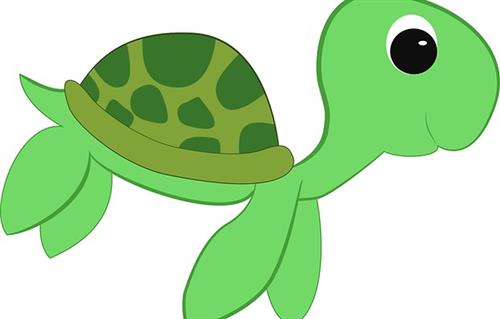 Turtle image